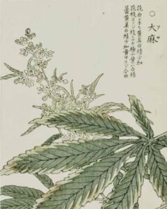 Chigusa no hana, Kono Bairei, 1890 Chigusa no hana, Kono Bairei, 1890